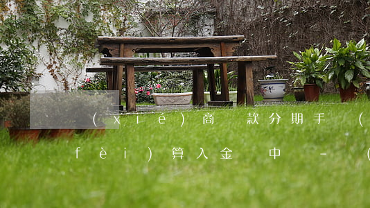協(xié)商還款分期手續(xù)費(fèi)算入金額中嗎-協(xié)商還款分期手續(xù)費(fèi)算入金額中嗎