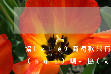 協(xié)商還款只有一次機(jī)會(huì)嗎-協(xié)商還款只有一次機(jī)會(huì)嗎
