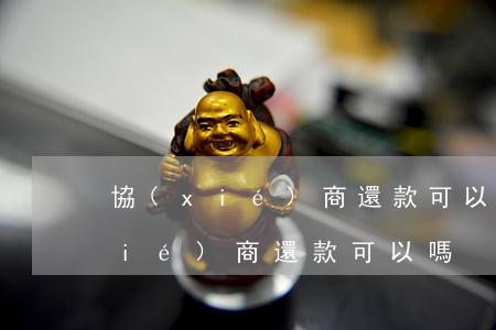 協(xié)商還款可以收利息么-協(xié)商還款可以嗎