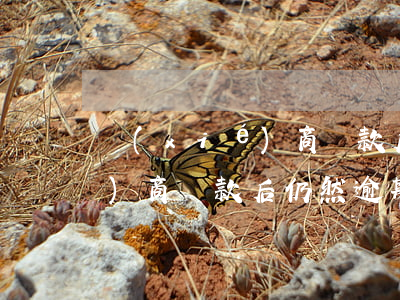 協(xié)商還款后仍然逾期 協(xié)商還款后仍然逾期