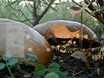 協(xié)商還款后再次違約是直接起訴嗎-協(xié)商還款后再次違約是直接起訴嗎法院