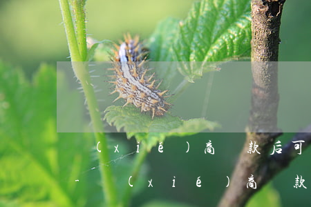 協(xié)商還款后可以延后3天還款嗎-協(xié)商還款后可以延后3天還款嗎