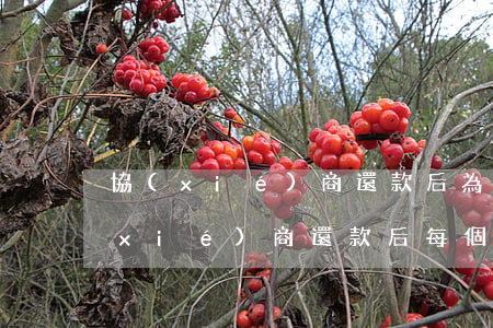 協(xié)商還款后為什么還有賬單(協(xié)商還款后每個月發(fā)賬單給我)