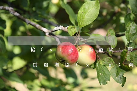 協(xié)商還款后顯示當(dāng)前逾期(協(xié)商還款成功后又逾期怎么辦)