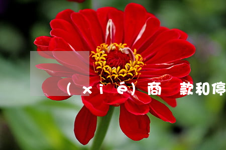 協(xié)商還款和停息掛賬 后又還不上