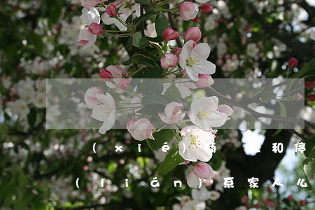 協(xié)商還款和停息掛賬會打電話聯(lián)系家人么