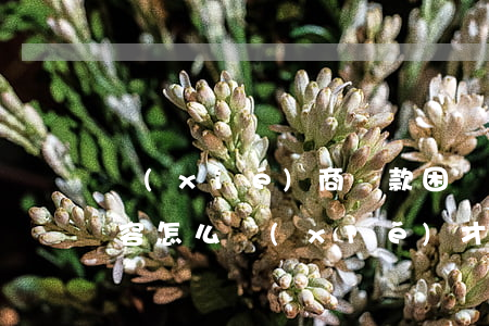 協(xié)商還款困難證明內(nèi)容怎么寫(xiě)才好-協(xié)商還款困難證明內(nèi)容怎么寫(xiě)才好呢