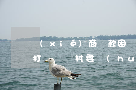 協(xié)商還款困難證明會(huì)打電話給村委會(huì)嗎-協(xié)商還款困難證明會(huì)打電話給村委會(huì)嗎