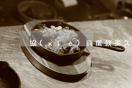協(xié)商還款多久有結(jié)果