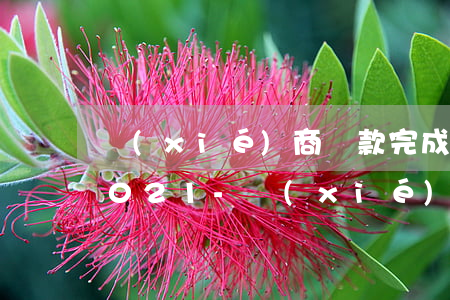 協(xié)商還款完成了征信還會黑嗎2021-協(xié)商還款完成了征信還會黑嗎