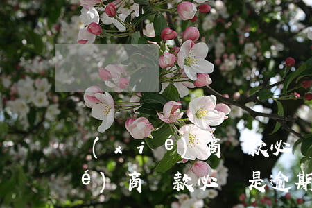 協(xié)商還款必須是逾期嗎(協(xié)商還款必須是逾期嗎知乎)
