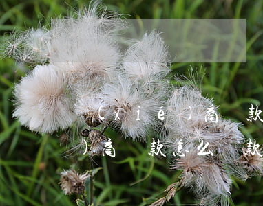 協(xié)商還款怎么處理-協(xié)商還款怎么還款