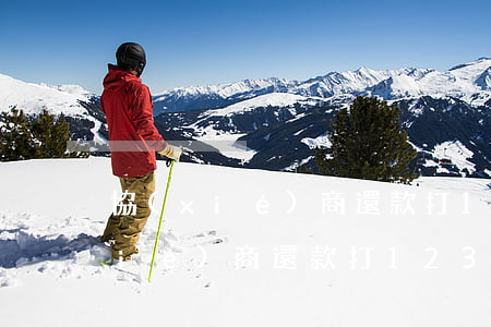 協(xié)商還款打12378-協(xié)商還款打12378有用嗎