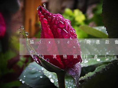 協(xié)商還款會(huì)對(duì)其他銀行產(chǎn)生影響嗎-協(xié)商還款會(huì)對(duì)其他銀行產(chǎn)生影響嗎知乎