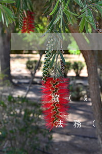 協(xié)商還款法務(wù)在哪里找 法務(wù)協(xié)商還款需要寄電話卡嗎
