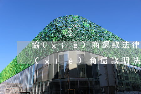 協(xié)商還款法律條規(guī)（協(xié)商還款明法典）