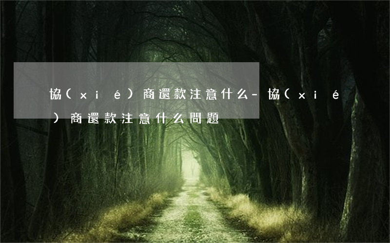 協(xié)商還款注意什么-協(xié)商還款注意什么問題