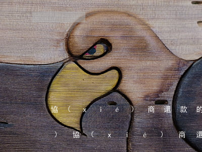 協(xié)商還款的原因怎么寫(xiě)(協(xié)商還款申請(qǐng)書(shū)樣板)
