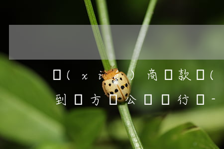 協(xié)商還款網(wǎng)貸錢打到對方對公賬戶行嗎?-協(xié)商還款網(wǎng)貸錢打到對方對公賬戶行嗎安全嗎