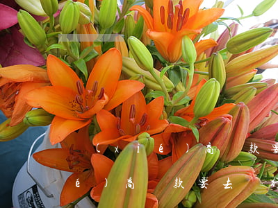 協(xié)商還款要去銀行嗎-協(xié)商還款要去銀行嗎怎么說