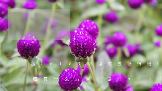 協(xié)商還款要征信報(bào)告這有什么后果-協(xié)商還款要征信報(bào)告這有什么后果嗎