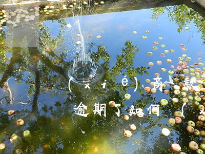 協(xié)商還款計(jì)劃還能逾期嗎(逾期了如何協(xié)商還款)