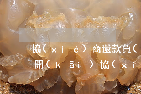 協(xié)商還款負(fù)債證明怎么開(kāi)(協(xié)商還款資料怎么寫(xiě))