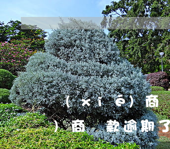 協(xié)商還款逾期了一天(協(xié)商還款逾期了一天)