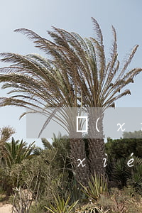 協(xié)商還款逾期怎么處理（逾期協(xié)商還款后逾期費不消除）