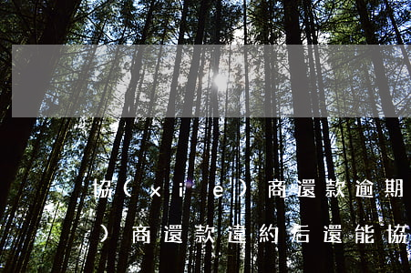 協(xié)商還款逾期會怎樣(協(xié)商還款違約后還能協(xié)商么)
