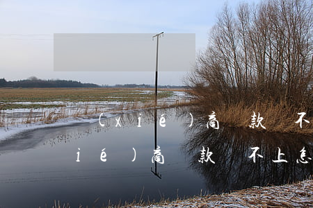 協(xié)商還款還不上怎么辦-協(xié)商還款還不上怎么辦呢