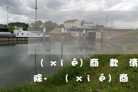 協(xié)商還款還清以后逾期記錄會消除-協(xié)商還款還清以后逾期記錄會消除嗎