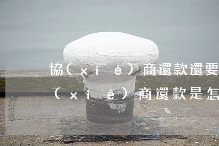 協(xié)商還款還要收利息怎么辦-協(xié)商還款是怎么還的
