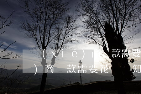 協(xié)商還款需要花錢嗎(協(xié)商還款需要花錢嗎知乎)