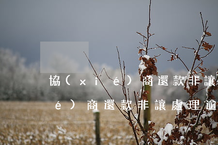 協(xié)商還款非讓處理逾期(協(xié)商還款非讓處理逾期)