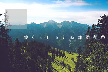 協(xié)商離婚都帶什么手續(xù)