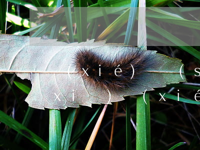 協(xié)議書(shū)離婚怎么寫(xiě)(協(xié)議書(shū)離婚怎么寫(xiě)放棄)