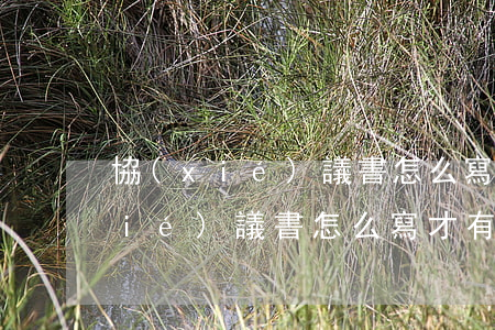協(xié)議書怎么寫才有效(分家協(xié)議書怎么寫才有效)