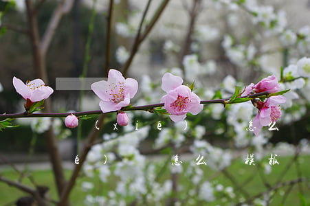 協(xié)議書怎么寫模板(欠款協(xié)議書怎么寫模板)