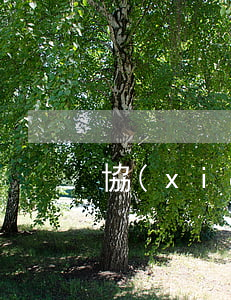 協(xié)議與合同的區(qū)別