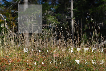 協(xié)議里面可以寫放棄訴訟嗎(訴權(quán)可以約定放棄嗎)