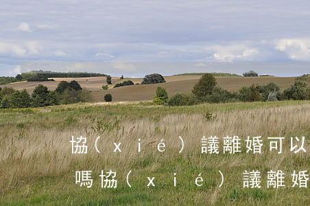 協(xié)議離婚可以委托律師全勸代理嗎(協(xié)議離婚可以委托律師全勸代理嗎)