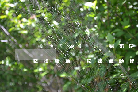 協(xié)議離婚可以申請(qǐng)法律援助嗎(法律援助能寫離婚協(xié)議嗎)