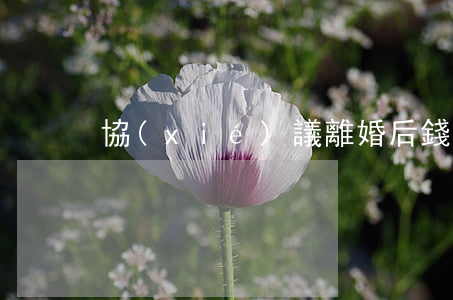 協(xié)議離婚后錢不給怎么辦