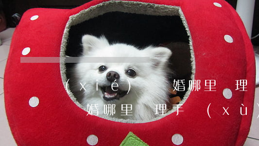 協(xié)議離婚哪里辦理(協(xié)議離婚哪里辦理手續(xù))