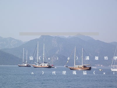 協(xié)議離婚律師可以全權(quán)代理嗎(協(xié)議離婚可以請(qǐng)律師代理嗎)