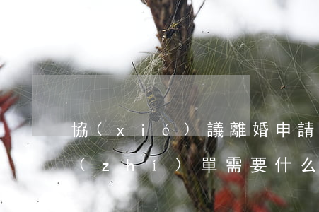 協(xié)議離婚申請(qǐng)回執(zhí)單需要什么證件(協(xié)議離婚申請(qǐng)回執(zhí)單需要什么證件)