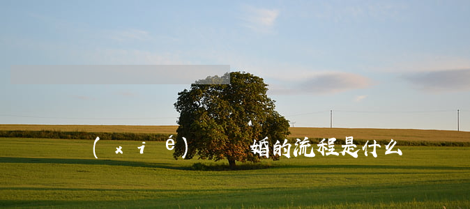 協(xié)議離婚的流程是什么