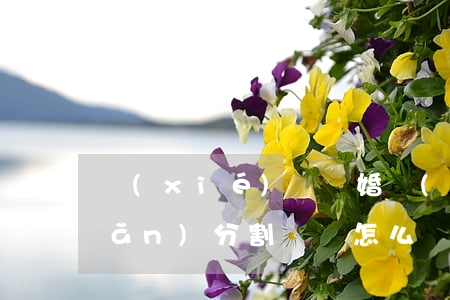 協(xié)議離婚財(cái)產(chǎn)分割異議怎么辦