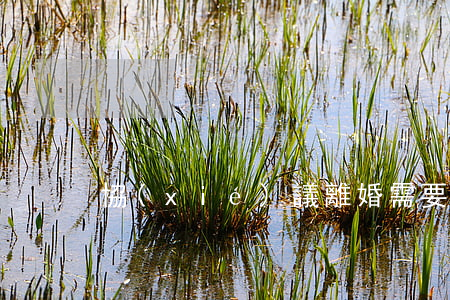 協(xié)議離婚需要哪些材料